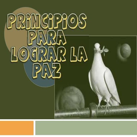 Principios para lograr la paz.