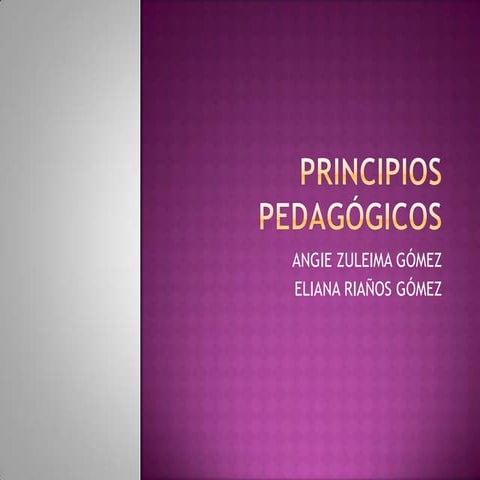 Principios pedagógicos