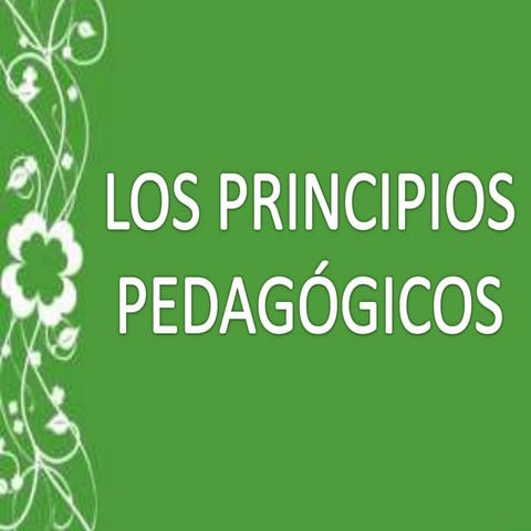 Principios pedagogicos