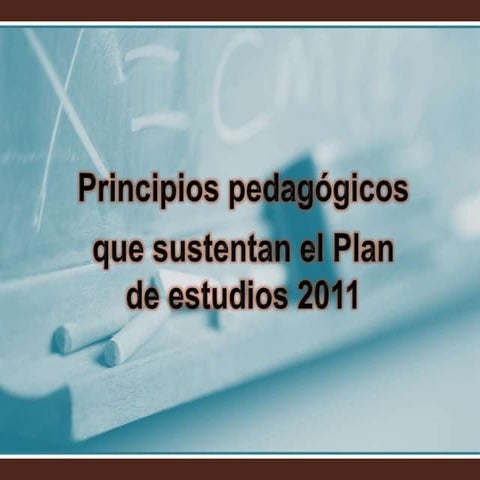 Principios pedagogicos.