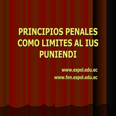 Principios Penales Como Limites Al Jus Puniendi