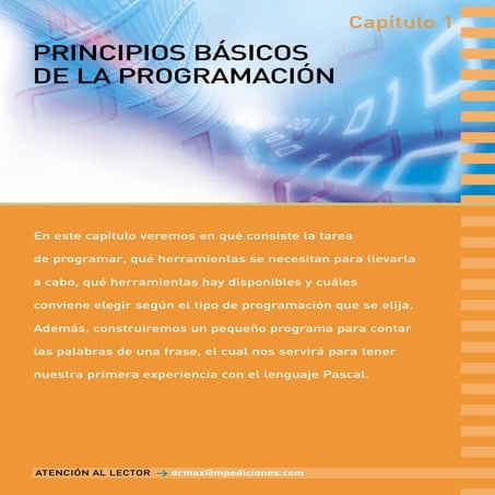 Principios programacion