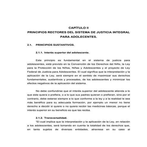 Principios rectores del nuevo sistema de justicia para adolescentes.pdf