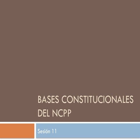 Principios TP NCPP.pptx del derecho penal