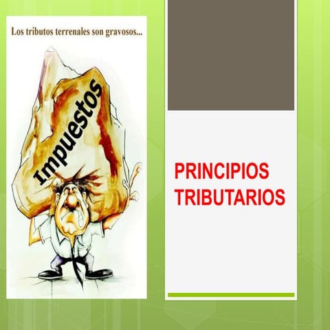 Principios tributarios