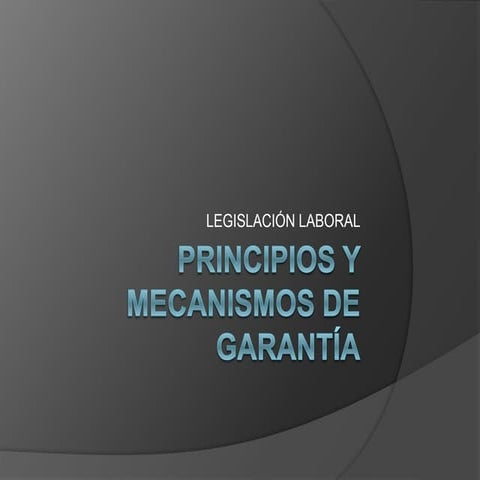 Principios y mecanismos de garantía laboral