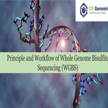 Principle and workflow of whole genome bisulfite sequencing