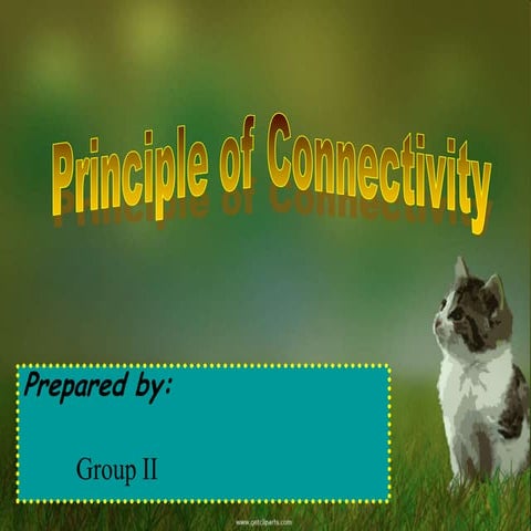 Principle of connectivity