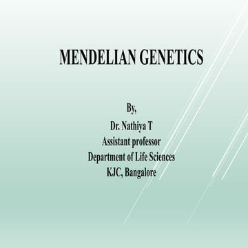 Mendel's Experiments - Biographical information, Pea experiments