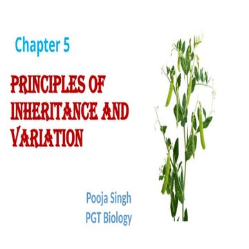 Principle of inheritance Chapter 4 NCERT