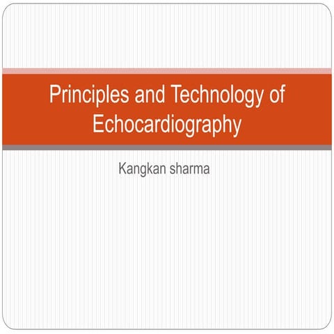 Basic Echocardiography Pptx