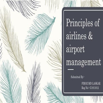 Airport terminal planning and design