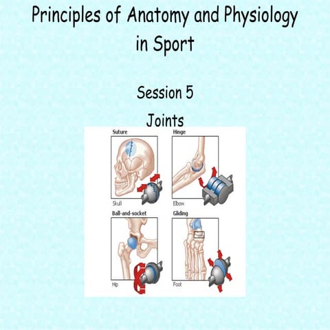 Principles of a+p 1112   session 5 - joints (structure)