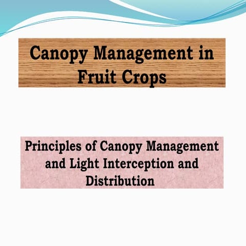 Principles of Canopy Management .pptx in subject canopy management of fruit c...