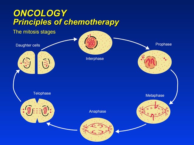 Principles Of Chemotherapy