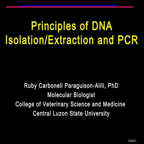 Principles of DNA isolation, PCR and LAMP