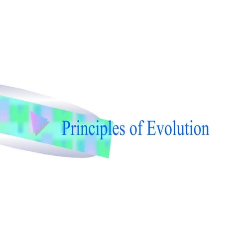 Principles of evolution