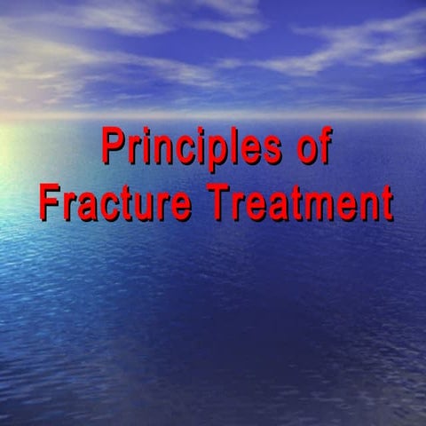 Principles of fracture treatment