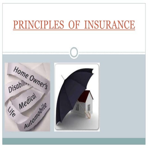 Principles of insurance