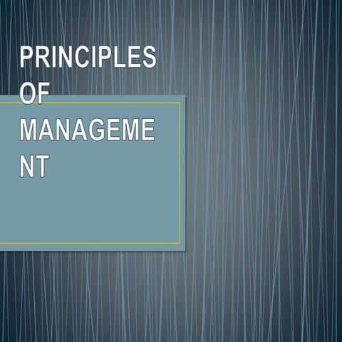 Principles of Management