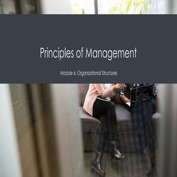 PrinciplesofManagement_06_OrganizationalStructures.pptx