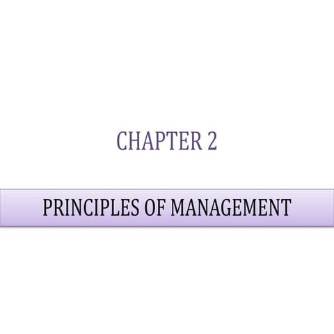 Principles of management class 12