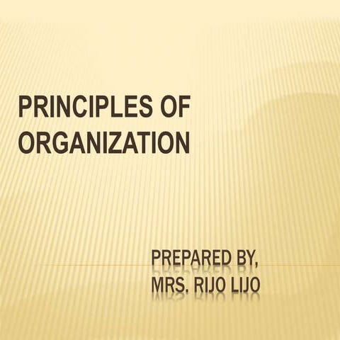 Principles of Organization