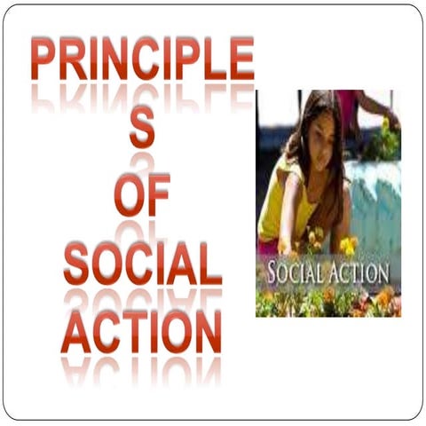 Principles of social action