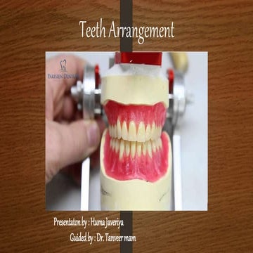 Principles of teeth arrangement and compensatory curves
