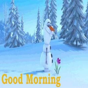 Principles of teeth arrangement and compensatory curves 