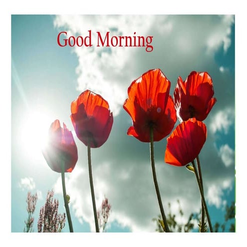 Principles of tooth preparation