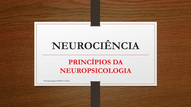 Princípios da neuropsicologia