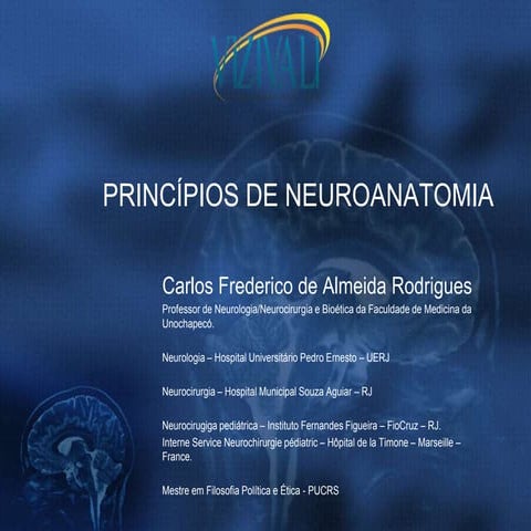 Princípios de neuroanatomia