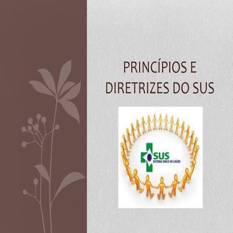 Princípios e diretrizes do sus