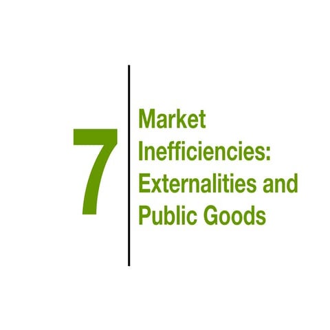 Prinecomi lectureppt ch07