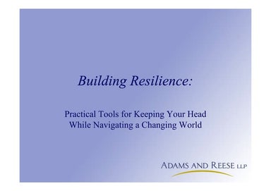 Building Resilience: Practical Tools for Keeping Your Head While Navigating a...