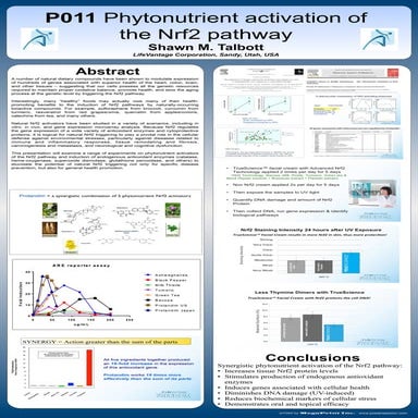 Phytonutrient activation of the Nrf2 Pathway | PDF