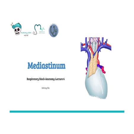 Mediastinum anatomy and its clinical implications
