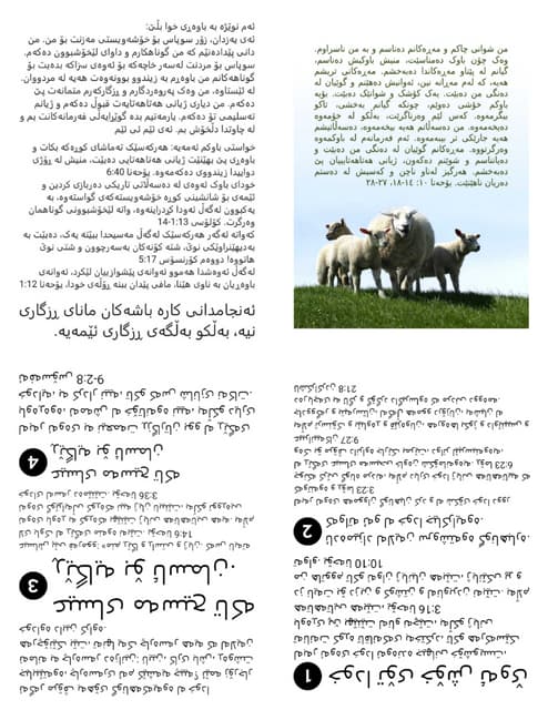 Printable Kurdish Central Sorani Gospel Tract - Good Shepherd.pdf