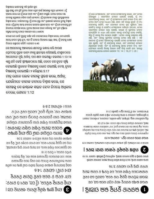 Printable Odia Oriya Gospel Tract - Good Shepherd.pdf