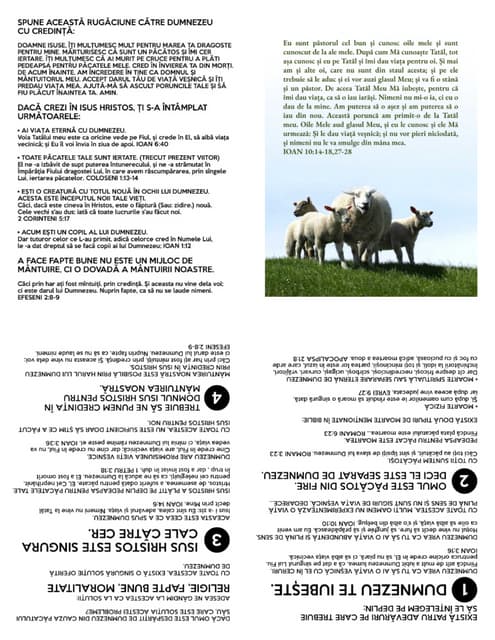 Printable Romanian Gospel Tract - Good Shepherd.pdf