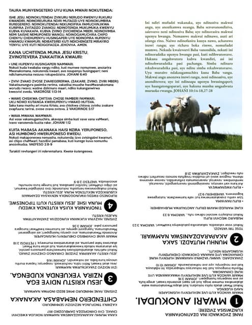 Printable Shona Gospel Tract - Good Shepherd.pdf
