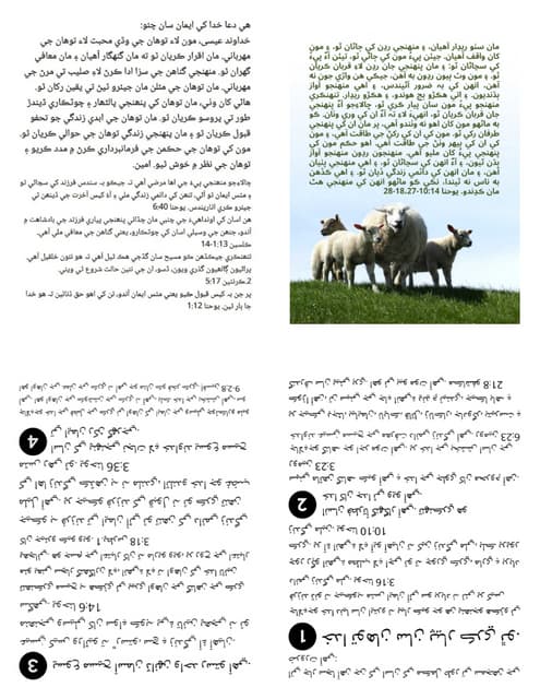 Printable Sindhi Gospel Tract - Good Shepherd.pdf