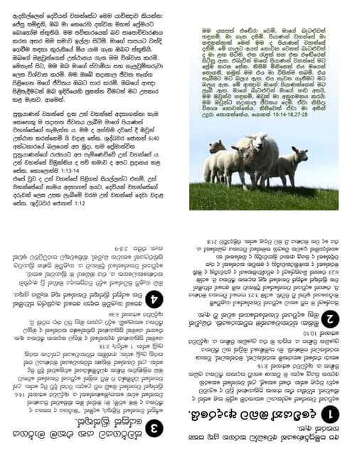 Printable Sinhala Gospel Tract - Good Shepherd.pdf