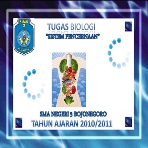 Sistem Pencernaan Manusia