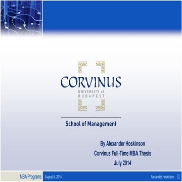 Smartphone Travel App Business Plan MBA Thesis