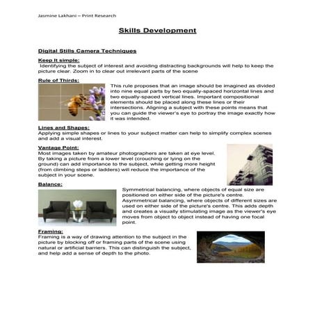 Image Development Strategies | PPTX