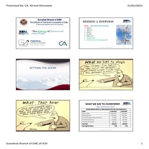 XBRL Presentation Handout