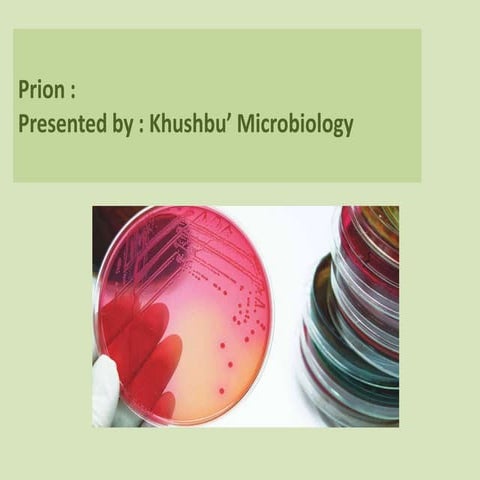 Prion : PATHOGENTIC TYPES OF MISFOLD PROTEIN | PPTX