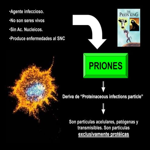 Priones entidades de infección